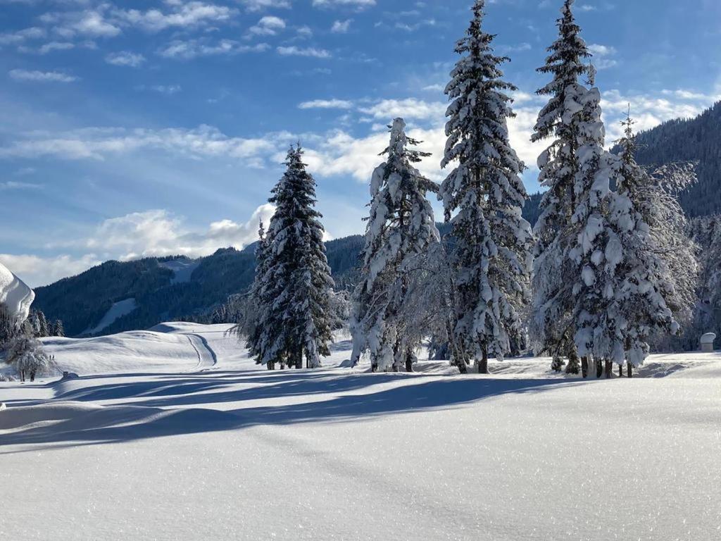 Ferienhof Hoffmann Hotel Weissensee Kültér fotó