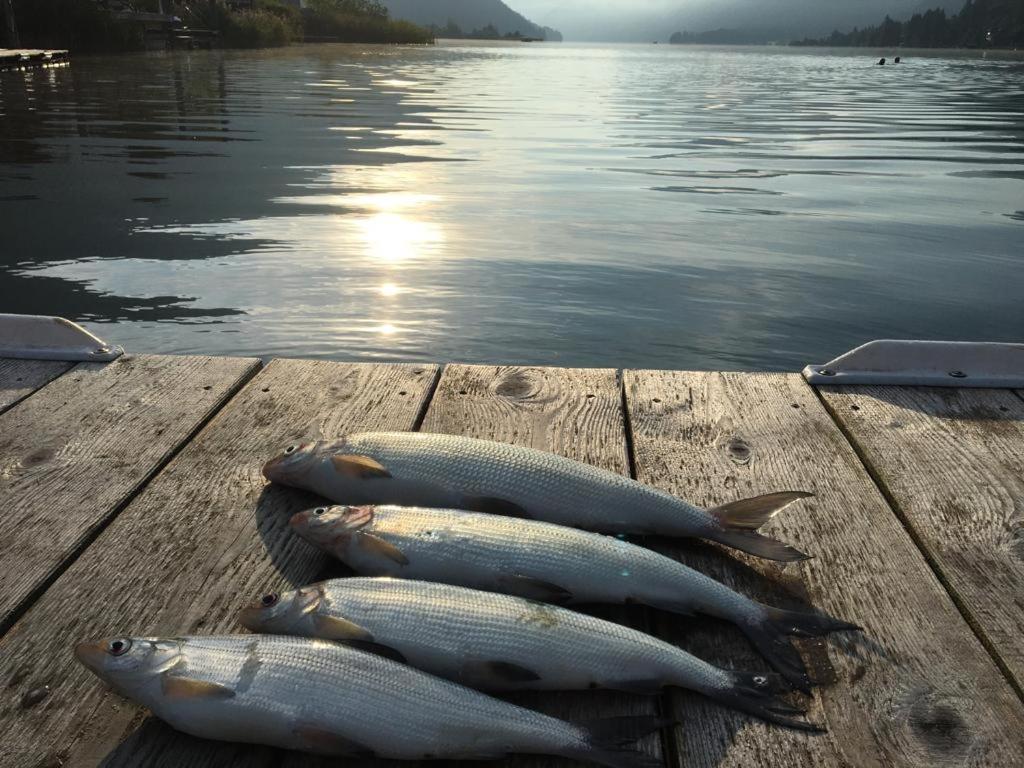 Ferienhof Hoffmann Hotel Weissensee Kültér fotó
