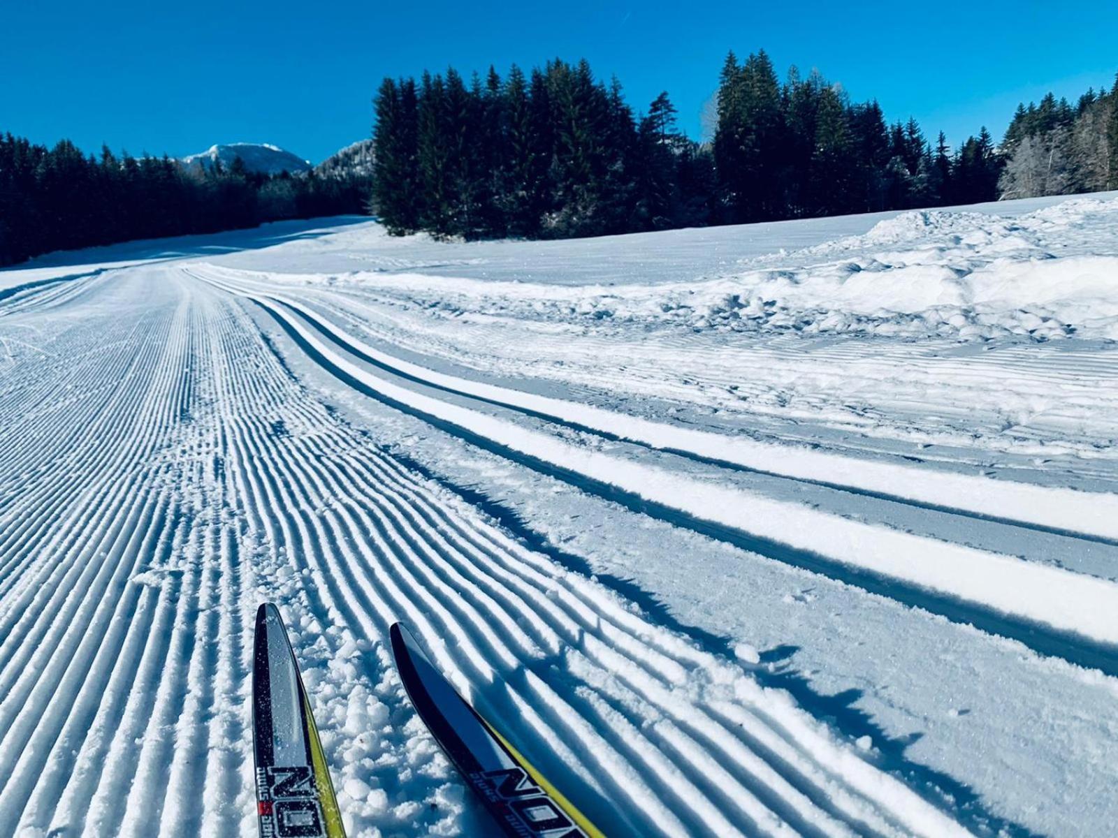 Ferienhof Hoffmann Hotel Weissensee Kültér fotó