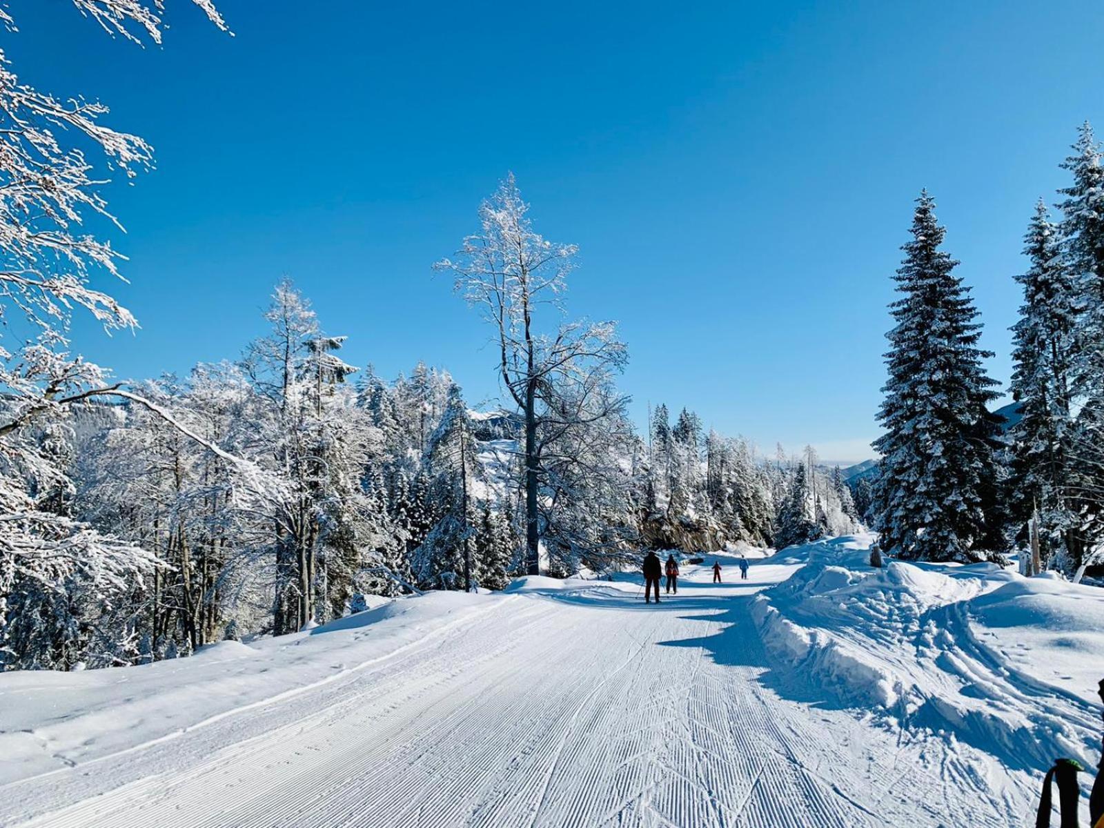 Ferienhof Hoffmann Hotel Weissensee Kültér fotó
